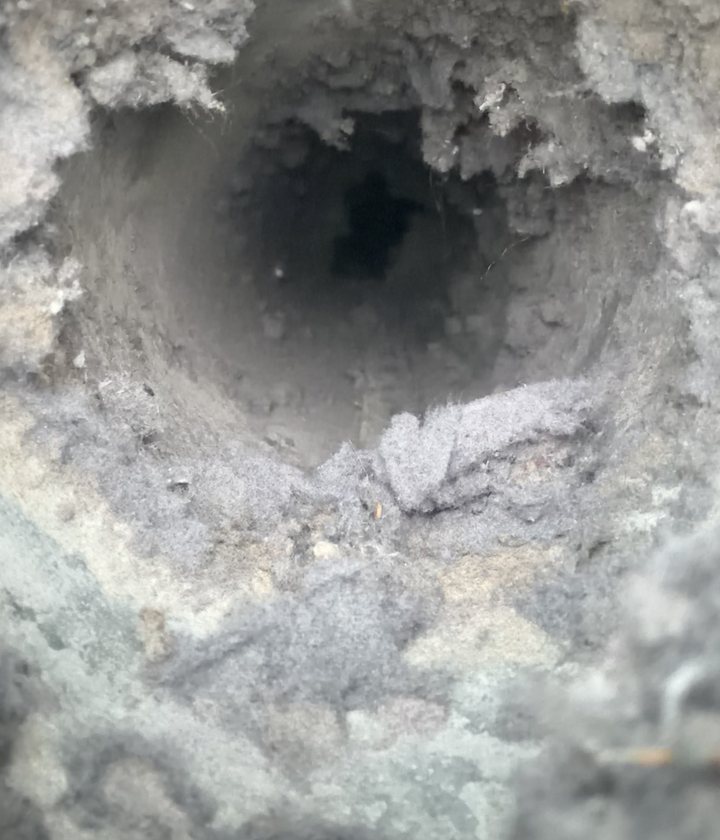 Looking down a dryer vent duct packed with grey lint, before cleaning